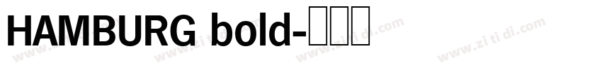 HAMBURG bold字体转换